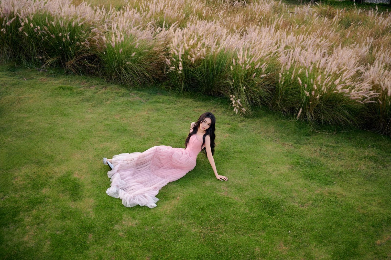 Angelina Dress image 10